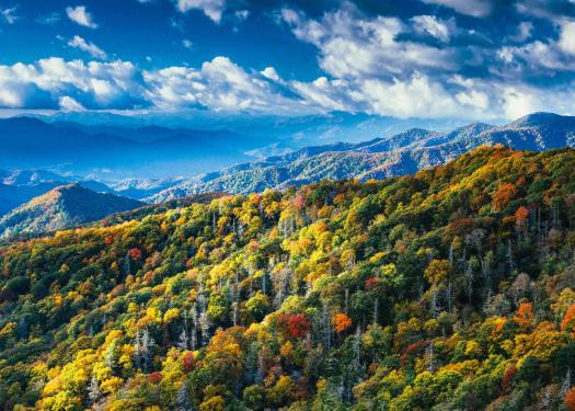 smoky-mountains-fall-colors